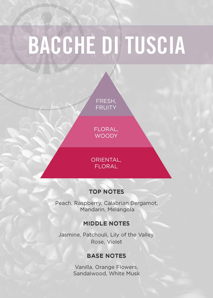 Bacche di Tuscia Diffuser - Erbario Toscana - Available in 3 Sizes