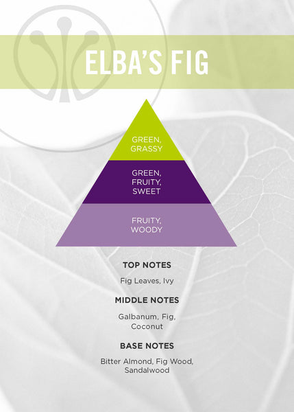 Elba's Fig Diffuser - Erbario Toscana - Available in 3 Sizes