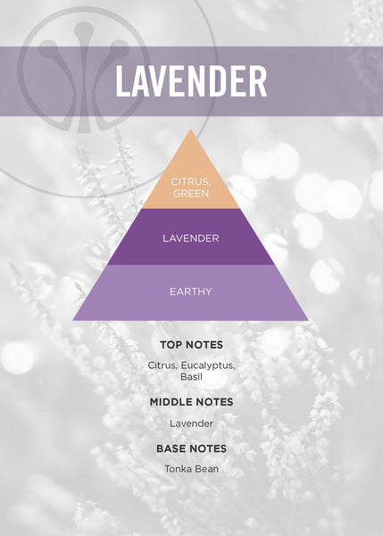 Lavender Diffuser - Erbario Toscana - Available in 3  Sizes
